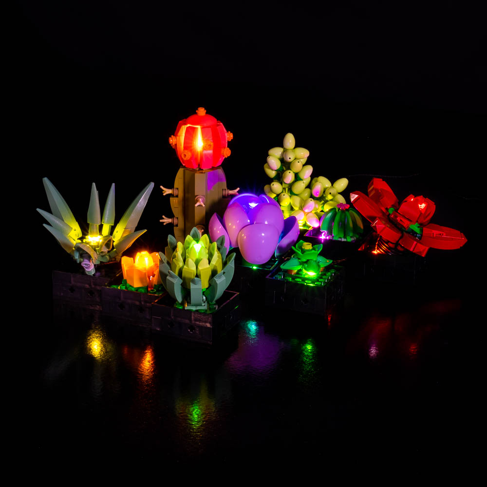 GEAMENT Set di Luci LED Compatibile Con LEGO Piante Grasse (Succulents) –  Kit Di Illuminazione per Creator 10309 Modello da Costruire (LEGO set Non  Incluso) : : Giochi e giocattoli